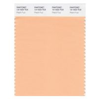 PANTONE Color of the Year 2024 / Previous Year